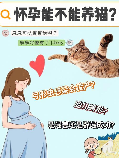 怀孕可以养猫吗对胎儿有影响吗