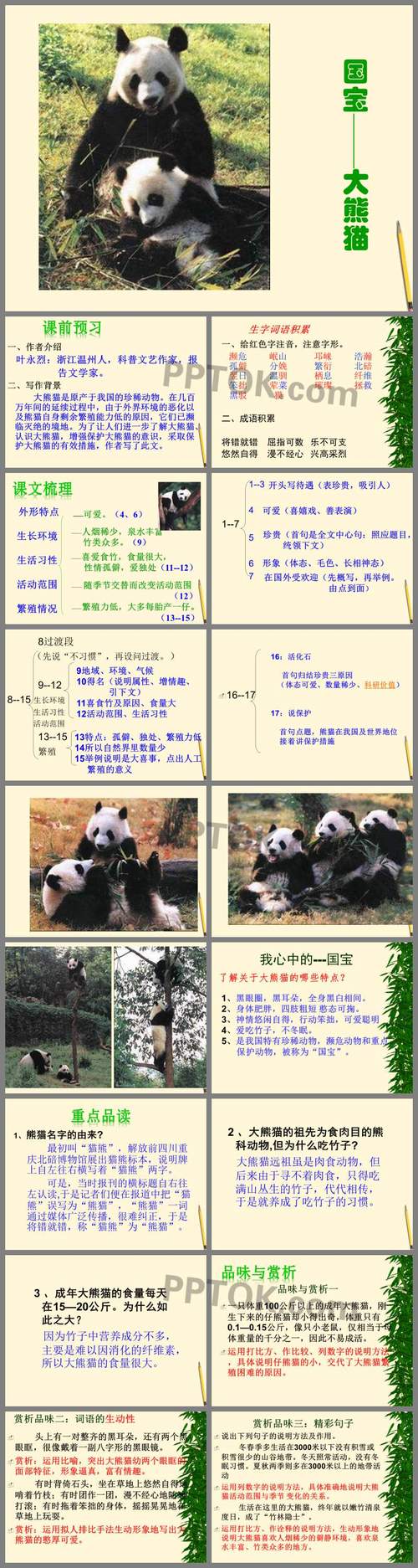 熊猫的习性特点描写