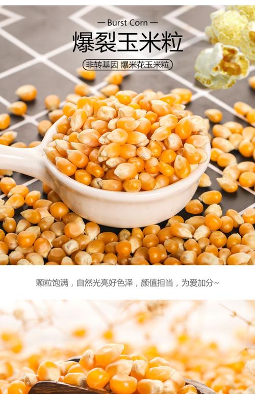 爆米花玉米粒和普通玉米粒的区别