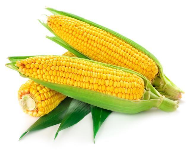 玉米的功效与作用