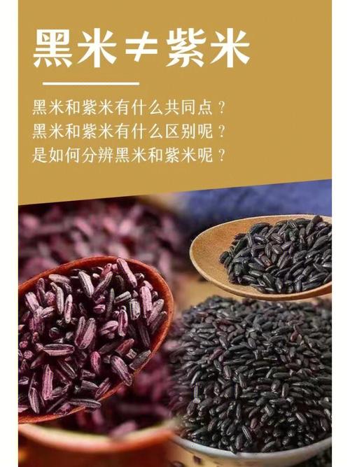 黑米和紫米有什么区别